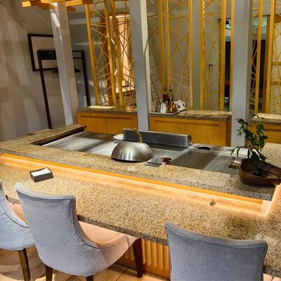 1200*850*800mm Boyutlarında Gıda Sınıfı Alaşımlı Çelik ve Elektrikli/Gazlı Isıtmalı Ticari Teppanyaki Izgara Masası